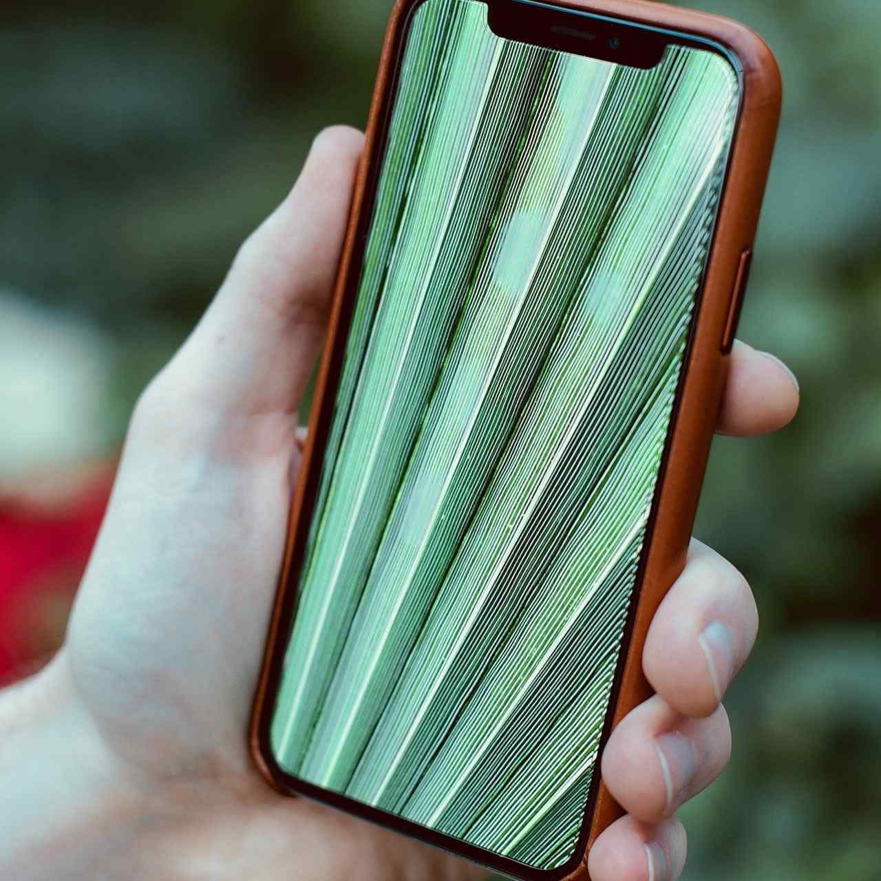 China’s Bio Takes on Enis With a Car Half The Price of Model B